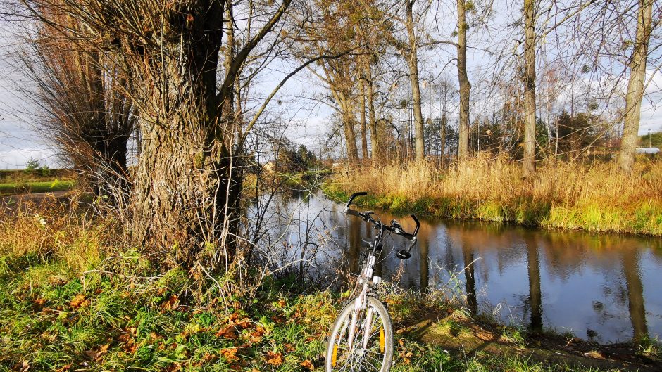 Rower nad jeziorem, wokół jesiennych liści.