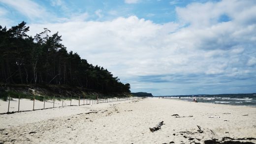 Klif i plaża nad Morzem Bałtyckim.